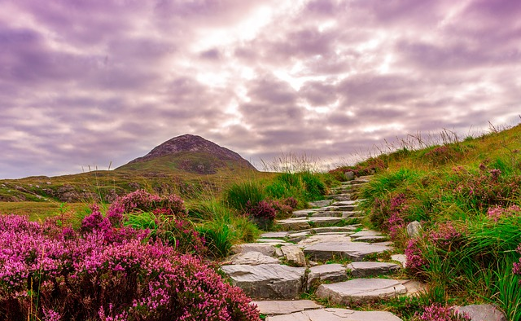 Весенние каникулы в Ирландии