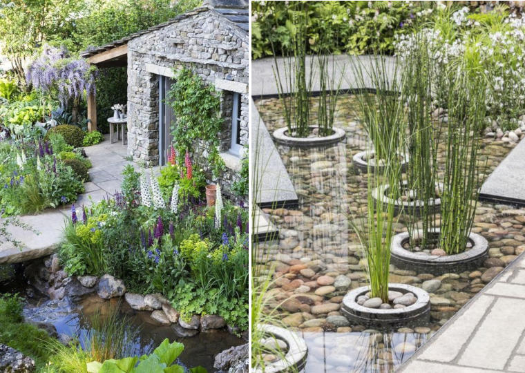 Цветочное шоу Chelsea Flower Show - UK Visa