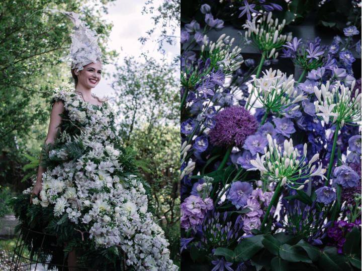 Фото с Chelsea Flower Show - UK Visa